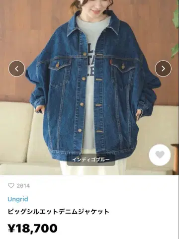 Ungrid 빅 실루엣 데님 자켓