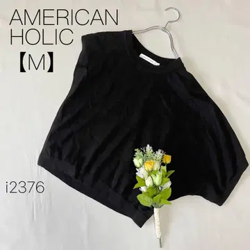 아메리칸 홀릭 니트 풀오버 변형 니트 레이온 혼방 블랙 [M]