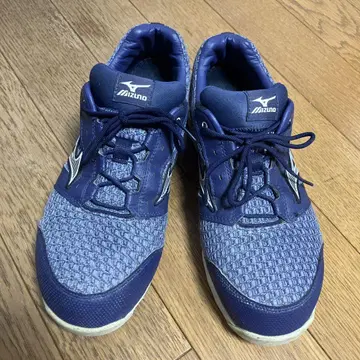 Mizuno 미즈노 안전화 25.5cm