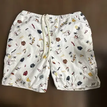 반스 숏 팬츠