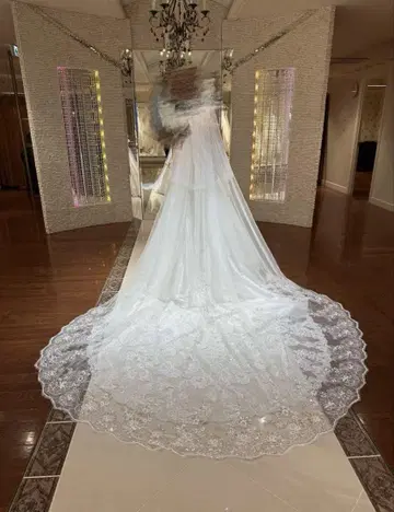 웨딩 베일