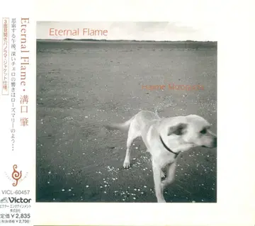 아티스트 CD 미조구치 하츠오 Eternal Flame