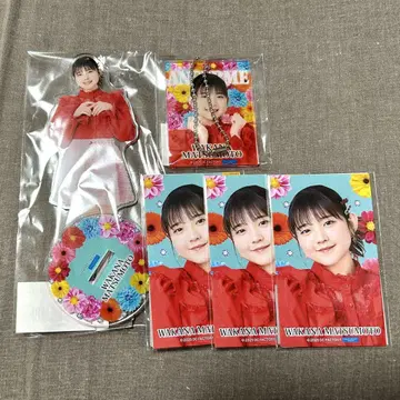 모바 가챠 안주루무 마츠모토 와카나