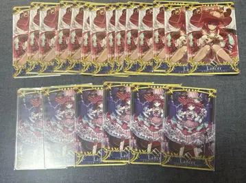 FGO 아케이드 랜서 엘리자베스 바틀리 카드 총 20장