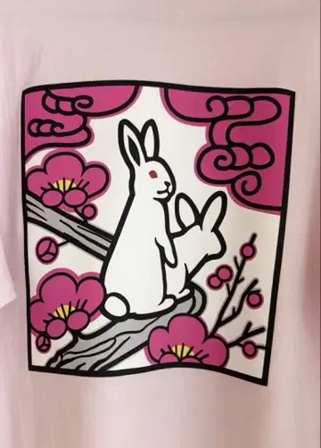 매실 fr2 ume 반팔 티셔츠 익명 배송 당일 발송