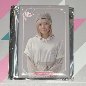 사쿠라자카 카페 후지요시 카린 캔 마그넷