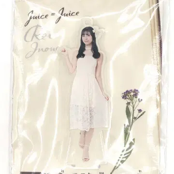이노우에 레이 FSK 피규어 스탠드 키링 Juice=Juice