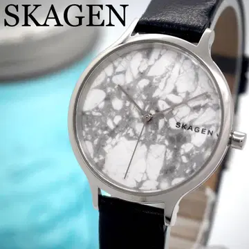 253 SKAGEN 여성용 시계 실버 블랙 마블 다이얼