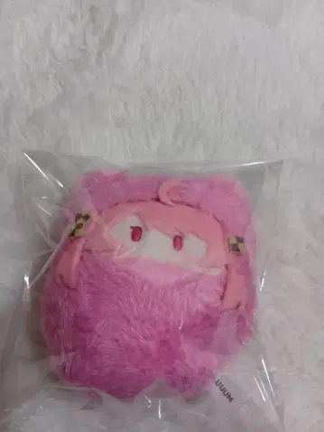 컬러풀 피치 카라피치 싸개 타피누이 노아