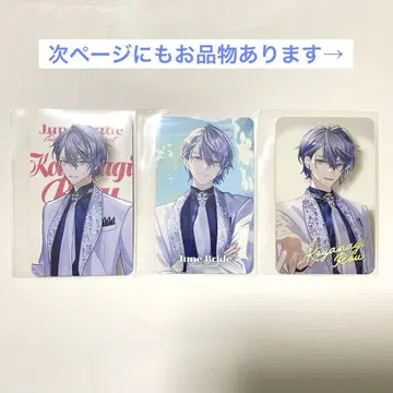 니지산지 준 브라 코야나기 로우 외