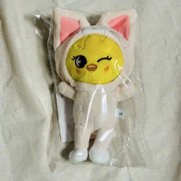 straykids skzoo 필릭스 포가리토이 월드 백 참