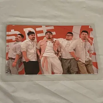 쿵푸 팬더 2023 달력 트레이딩 카드