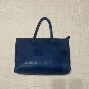 TRION 트라이온 블루 토트백