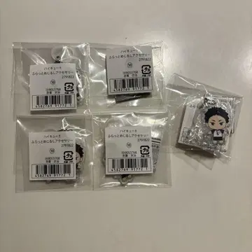 하이큐! 플랫 메지루시 액세서리 아카아시 케이지
