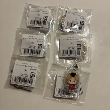 하이큐! 플랫 메지루시 액세서리 코즈메 켄마
