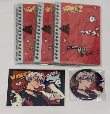 VIBES G 복권 파라라이 노트 캔뱃지 혜택 브로마이드