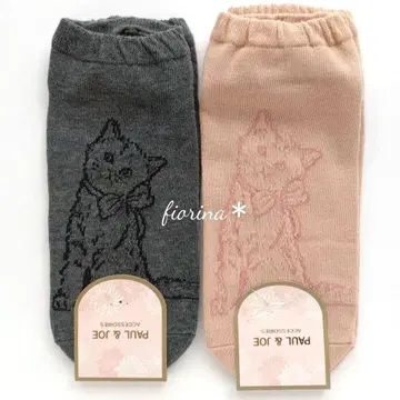 폴 & 조 삭스 2켤레 스니커즈 삭스 고양이 새끼 고양이