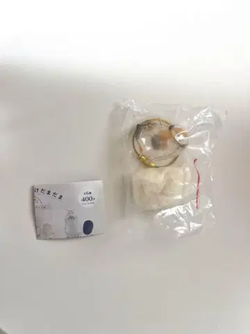 우리 집 고양이 삼색 고양이 정품