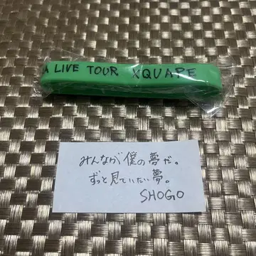 타지마 쇼고 라바반