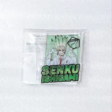 Dr.STONE 이시가미 치쿠루 아크릴 키링 네임 키링 C상