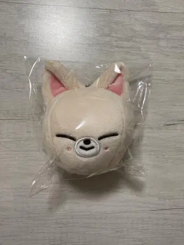 스키즈 SKZOO 아이엔 FoxI.Ny 백 참