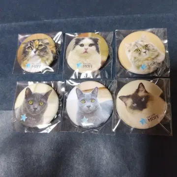 고양이 카페 moff 캔뱃지