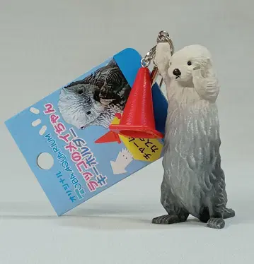 도바 수족관 메이짱 키링 새상품 무료배송!