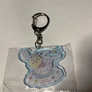 치이카와 (먼작귀) 산리오 콜라보 2022 아크릴 키링 토끼 시나몬