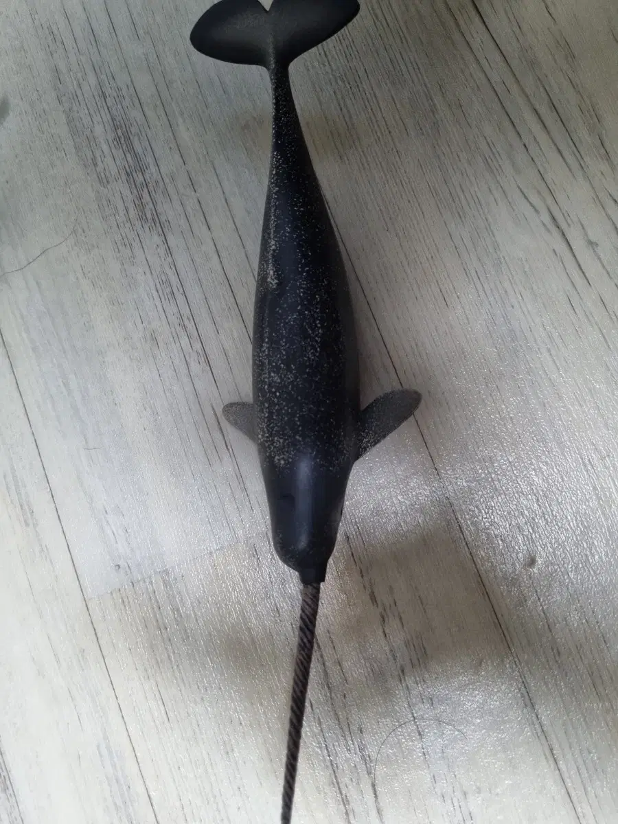 Collecta Narwhal