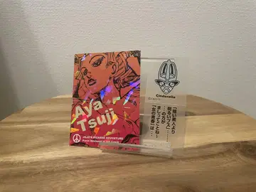 죠죠 리얼 페인트 시트 츠지 아야 신데렐라