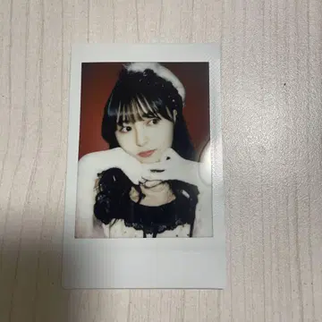 돈치키 사키나 폴라로이드
