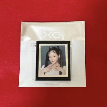 XG 프레임 마그넷 미러 HARVEY