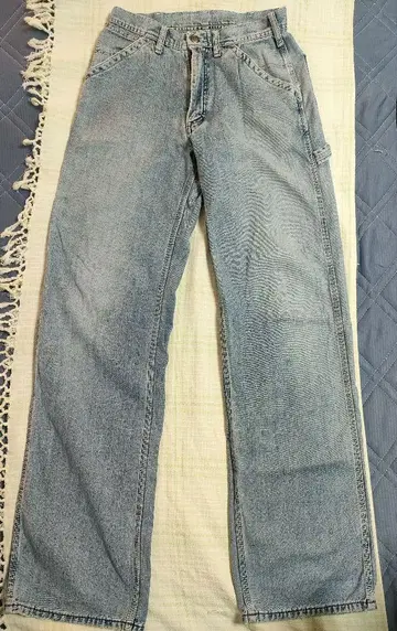 Lee 페인터 팬츠
