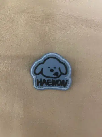 NMIXX 일콘 HAEWON 와펜 배지