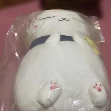 A상 냥코 선생님 별이 빛나는 하늘 케이프 봉제 인형