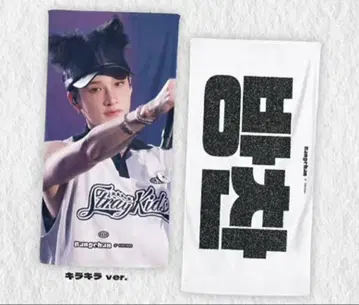 straykids 흠집 슬로건 반찬