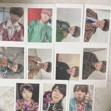 팬더 드래곤 아즈 나기 하피카 11장