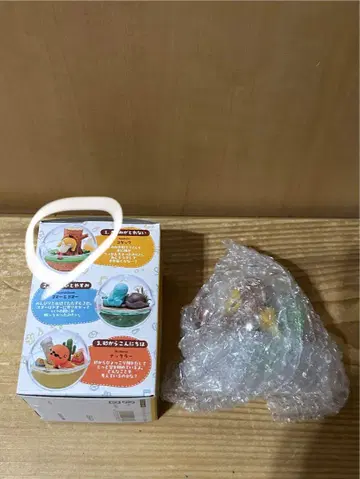 미사용 리멘트 테라리움 컬렉션 한가로운 시간 코닥