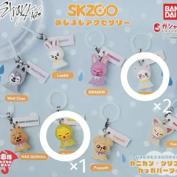 메지루시 액세서리 skzoo