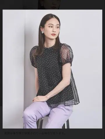 UNITED ARROWS 오간자 미니 퍼프 숏 슬리브 블라우스