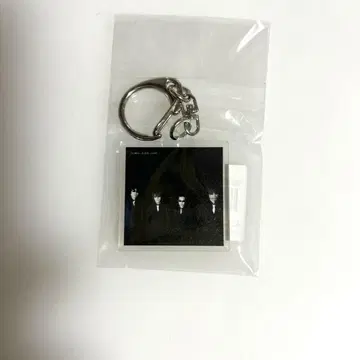THEE MICHELLE GUN ELEPHANT 미셸 키링
