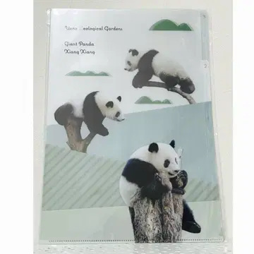 팬더 클리어 파일 A4 사이즈