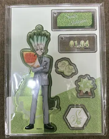 Dr.STONE! 이시가미 치쿠루 아크릴 키링!