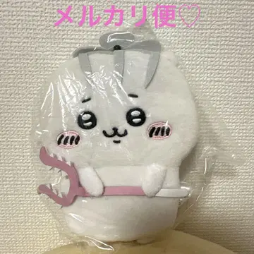 치이카와 (먼작귀) 운반되는 치이카와 낚시릴 케이스