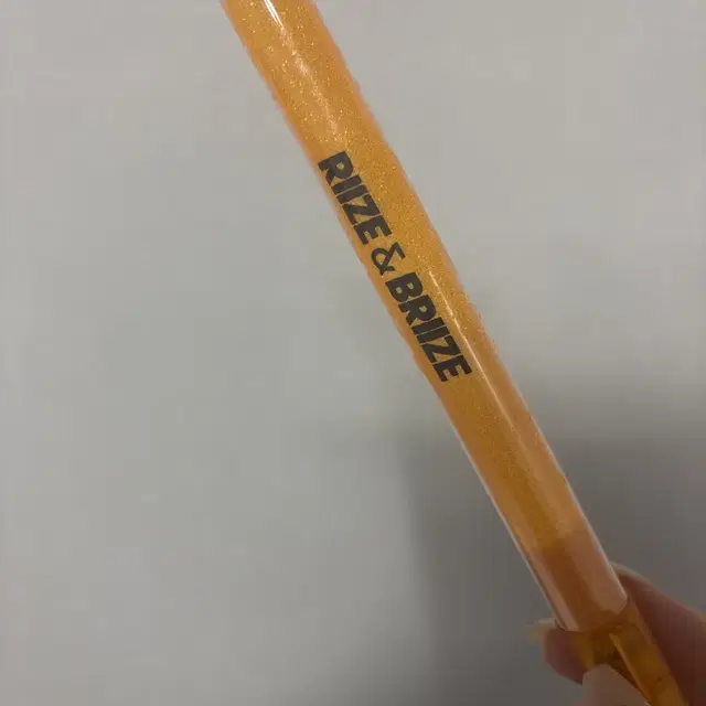 라이즈 100일파티 임시응원봉
