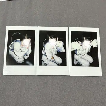 린타로 폴라로이드