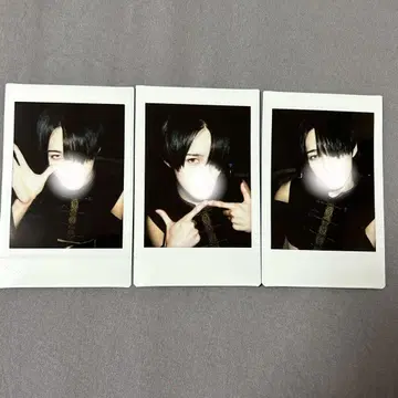 린타로 폴라로이드