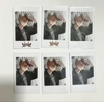 Crazy Raccoon 락의 날 폴라로이드 아리사카