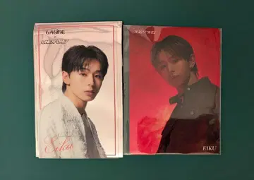 완엔 EIKU 트레이딩 카드
