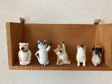 아사쿠마 토시오 Baby Yoga Dog 전 5종 개봉 상품